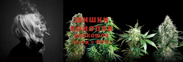 каннабис Белокуриха