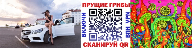 Галлюциногенные грибы Cubensis  Монино 